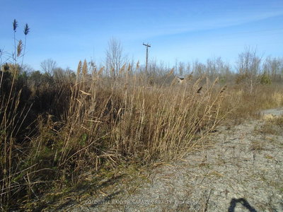 49 Rideau Avenue North, Smiths Falls, Ontario image-0-3