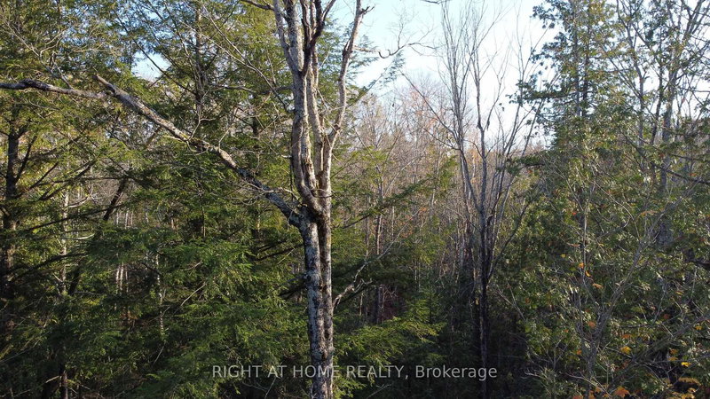 2263 Machar Strong Boundry Rd, Strong, P0A 1Z0 | Image 3