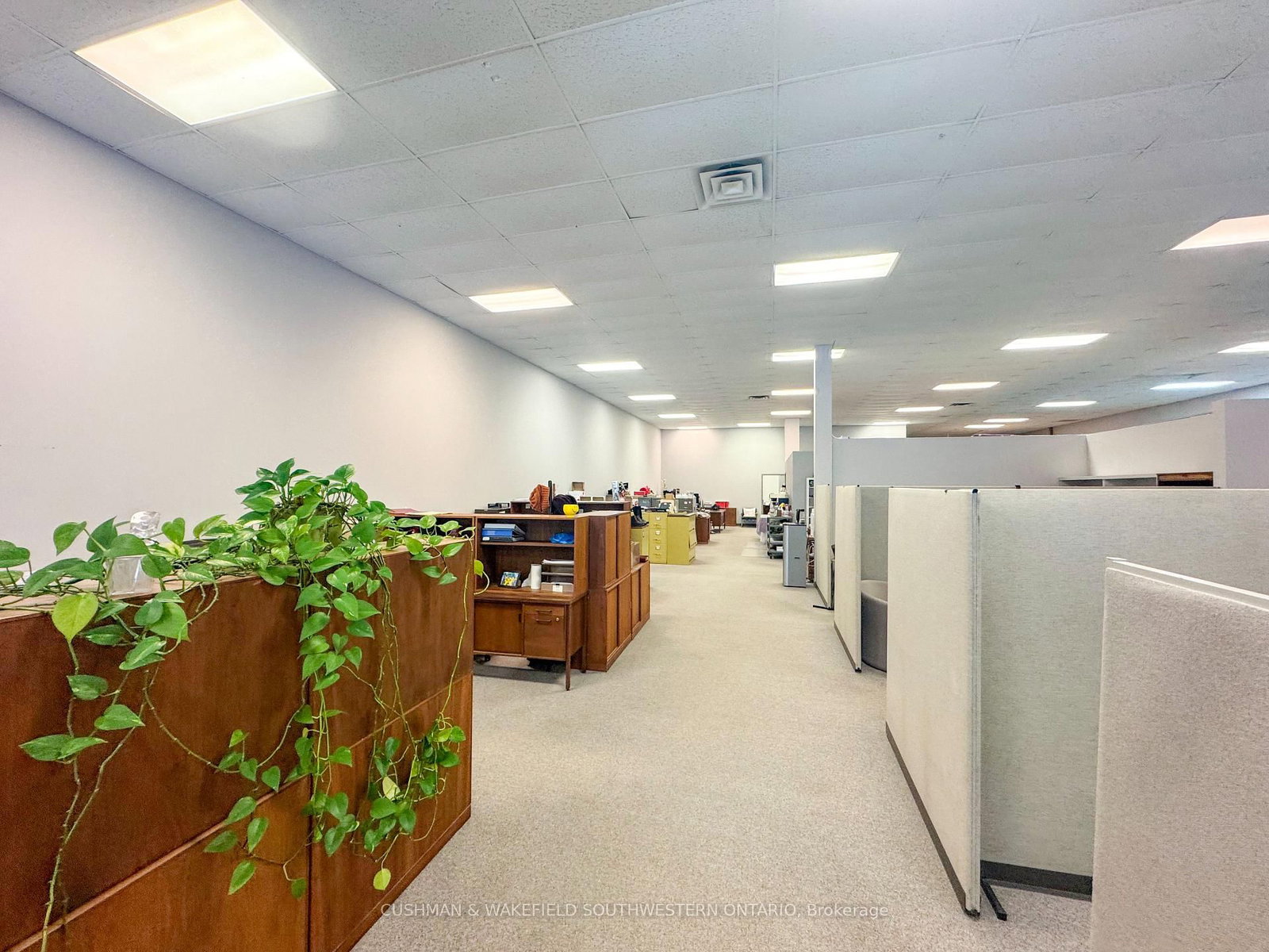 1806 Wharncliffe Road S - Photo 5