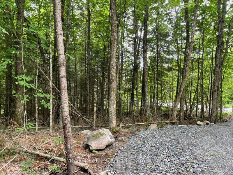 1350 Haliburton Lake Rd