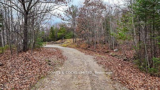 154 Little Ireland Rd, Brudenell, Lyndoch and Raglan, K0L 2M0 | Image 2