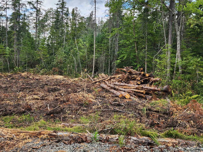 1022 Thompson Rd, Bracebridge, P1L 1X1 | Image 2