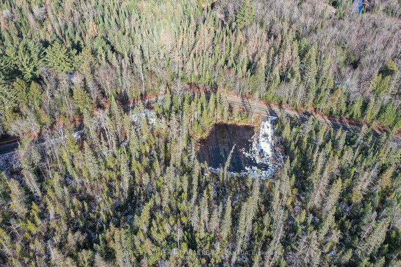 1022 Thompson Rd, Bracebridge, P1L 1X1 | Image 3