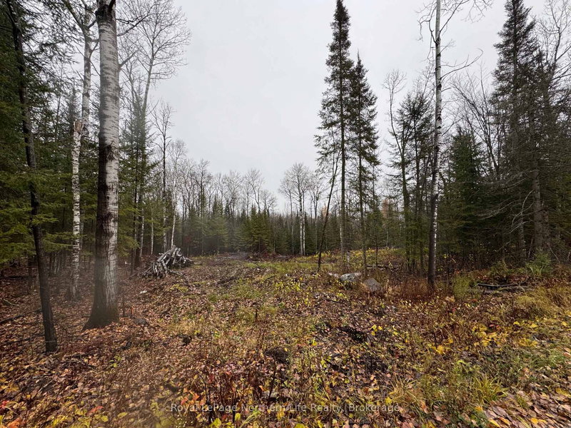 PT E1/2 Hillcrest Rd, East Ferris, P0H 1B0 | Image 3