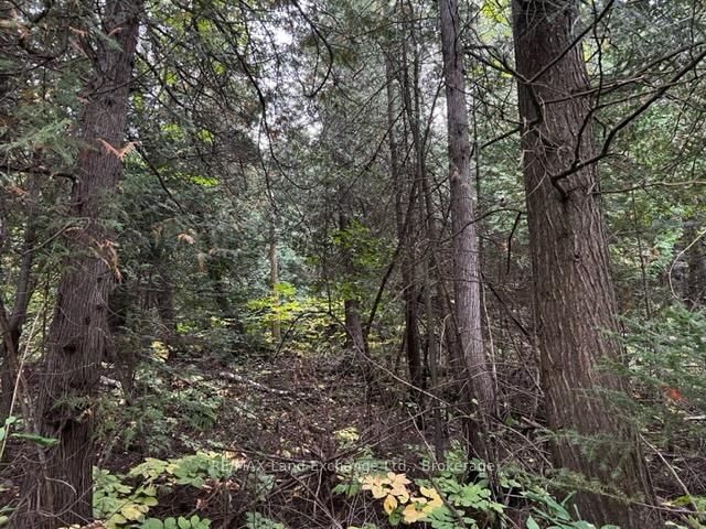 2 SHORE Road • Saugeen Shores, ON photo 10