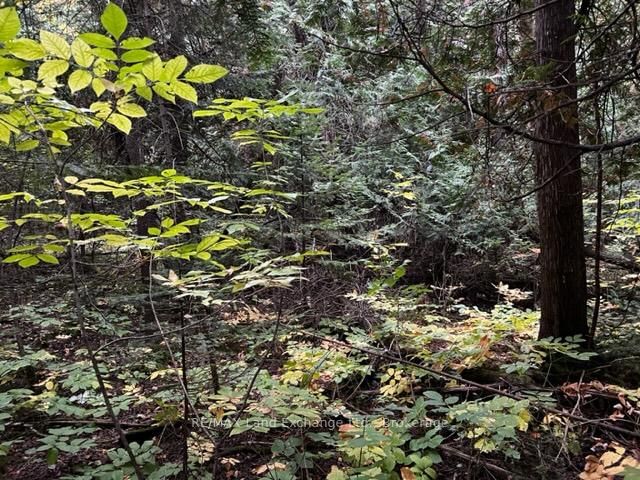 2 SHORE Road • Saugeen Shores, ON photo 12