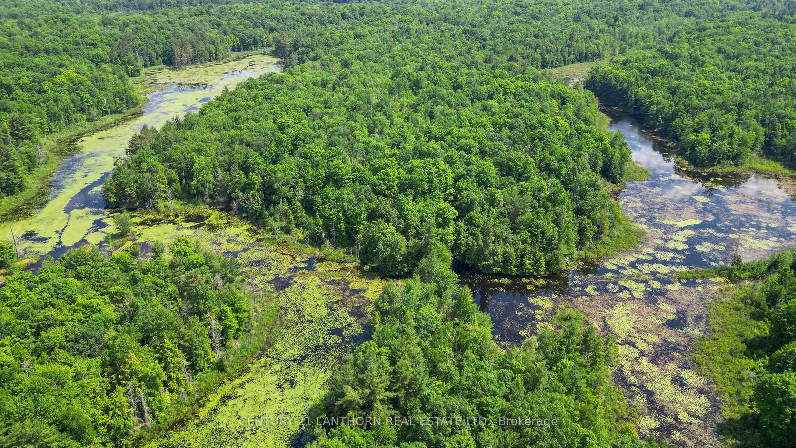 Detached House for sale at 932 Hunt Club Road, Madoc, Ontario, K0K 2K0 - Madoc - MLS: X12520944