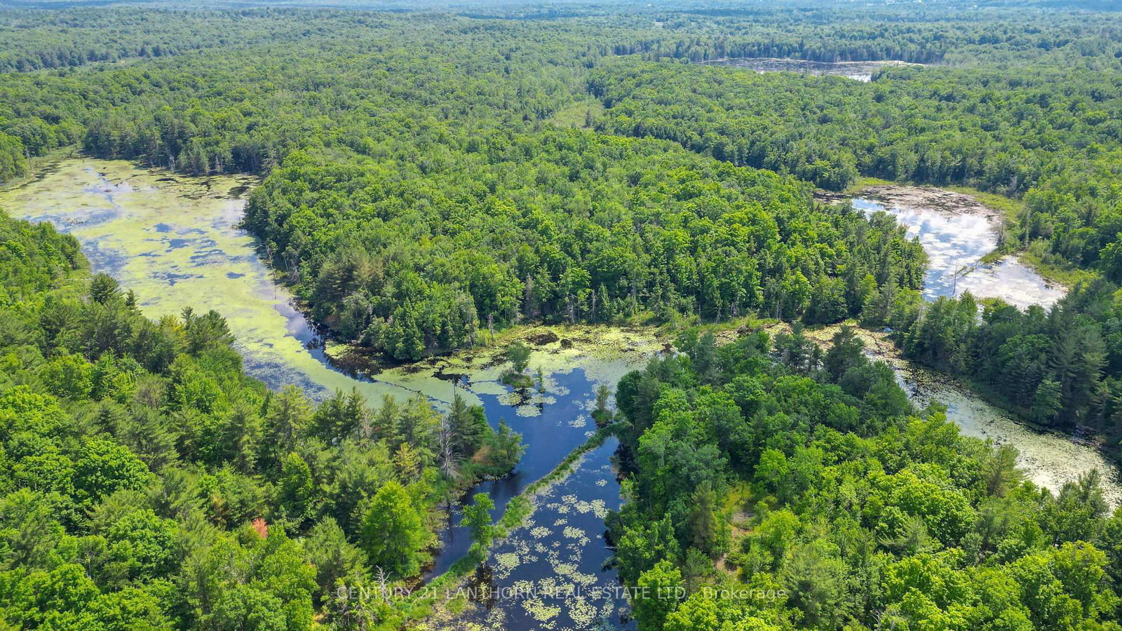 Detached House for sale at 932 Hunt Club Road, Madoc, Ontario, K0K 2K0 - Madoc - MLS: X12520944