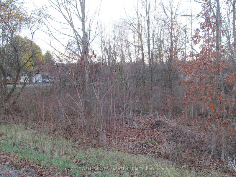 0 Fisher St N, White Lake, K0A 3L0 | Image 3