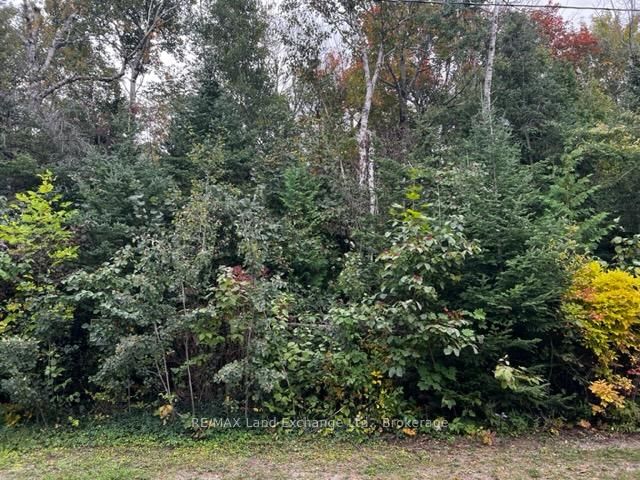 3 SHORE Road • Saugeen Shores, ON photo 1