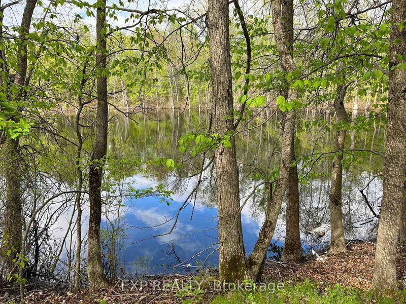 Lot 4 Sandy Shores Tr, Barry's Bay, K0J 1B0 | Image 3