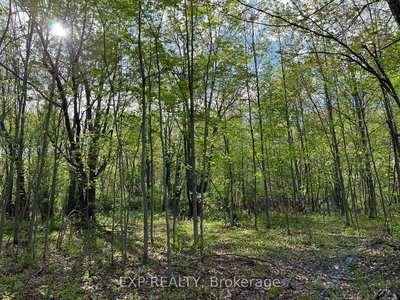 Lot 7 Casson Tr | Barry's Bay | Image