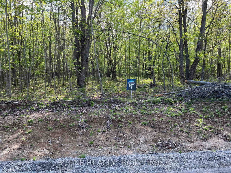Lot 7 Casson Tr, Barry's Bay, K0J 1B0 | Image 2