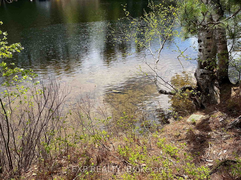 Lot 37 Sandy Shores Trail