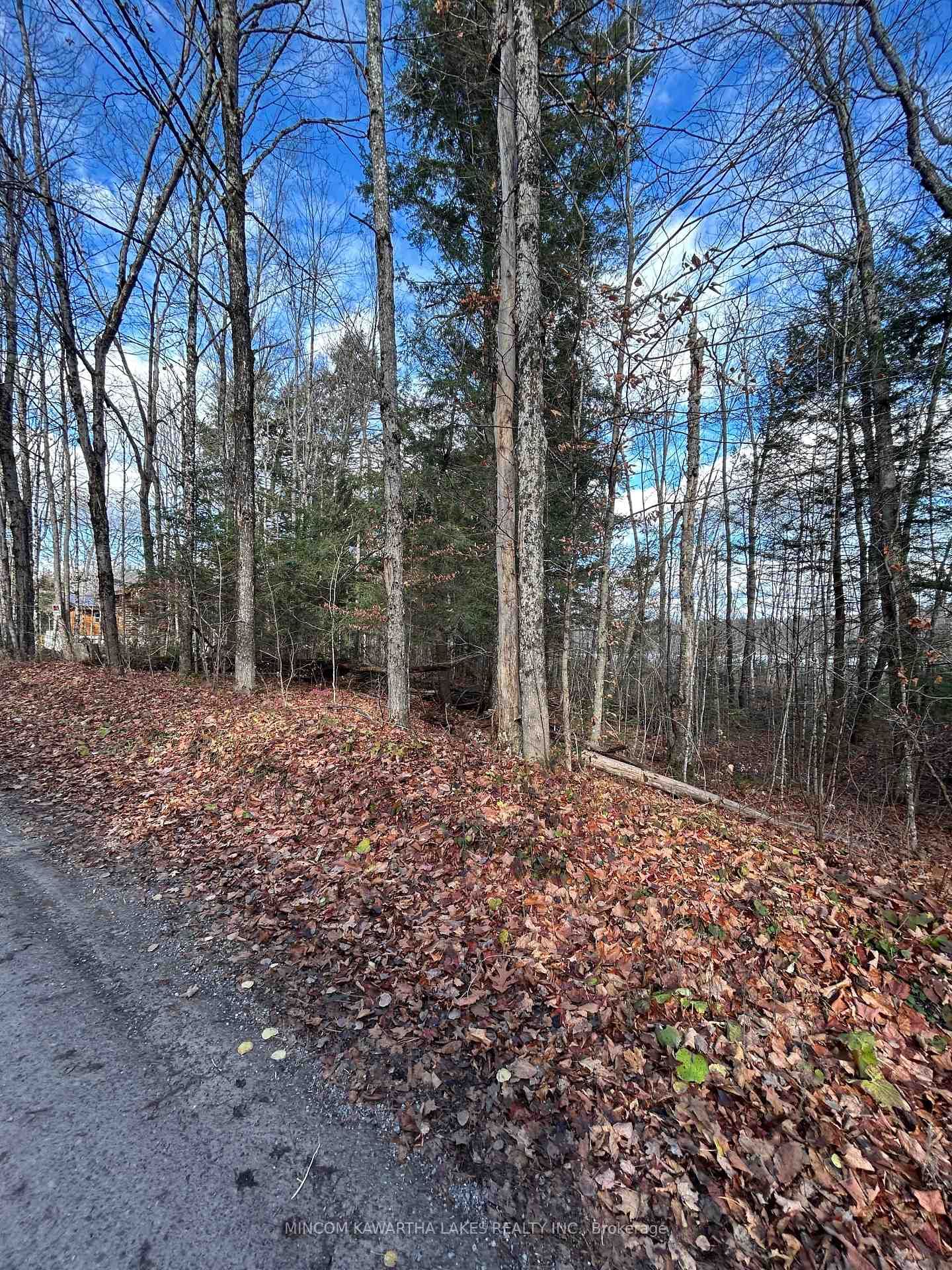 Listing Image 16