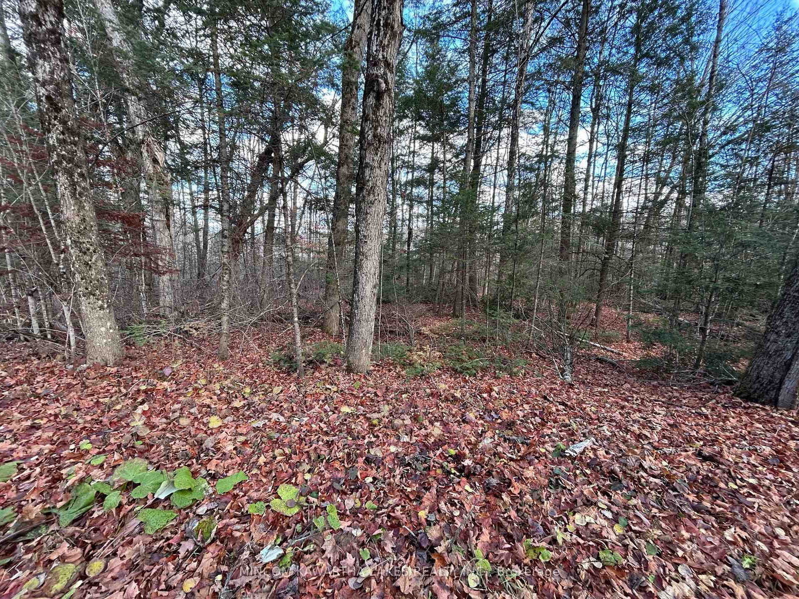 Listing Image 8