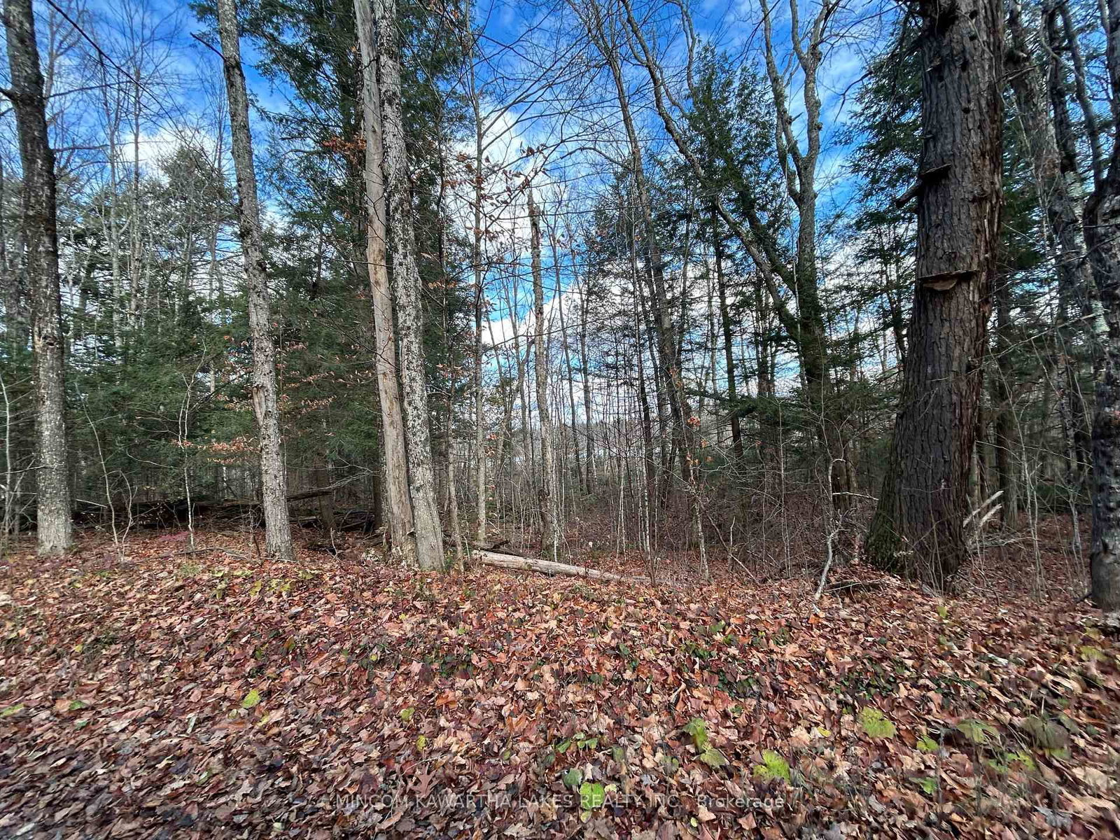 Listing Image 14