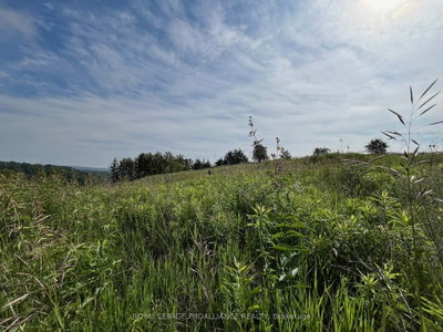 4836 45 Highway • #Lot 3 • Hamilton Township, ON photo 5