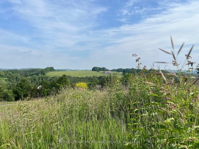 4836 45 Highway • #Lot 3 • Hamilton Township, ON photo 8