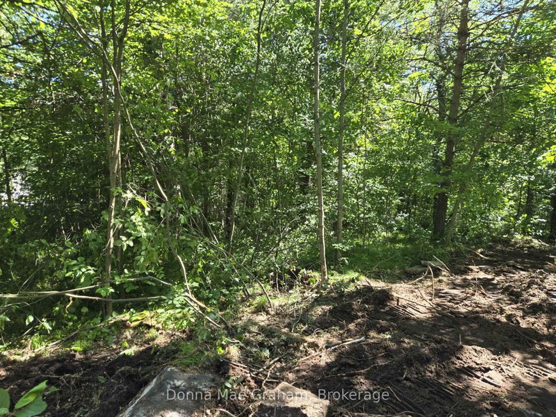 0 Hwy 503 Highway E, Highlands East, K0M 1R0 | Image 2