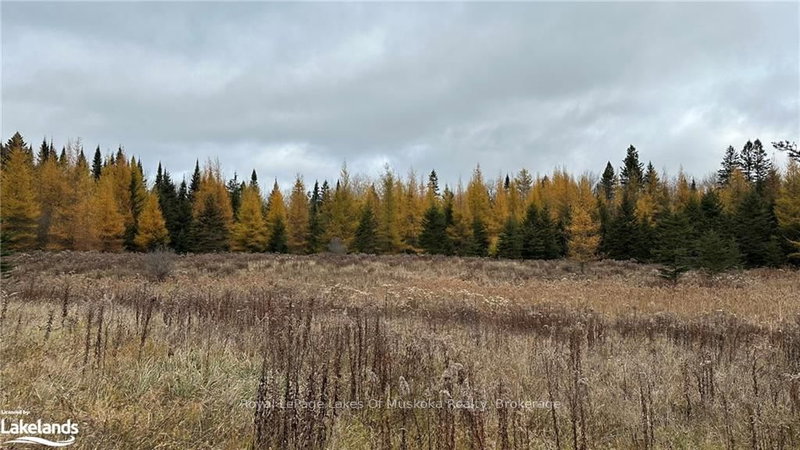 LOT 3 HILL AND GULLY Rd, Ryerson, P0A 1C0 | Image 2