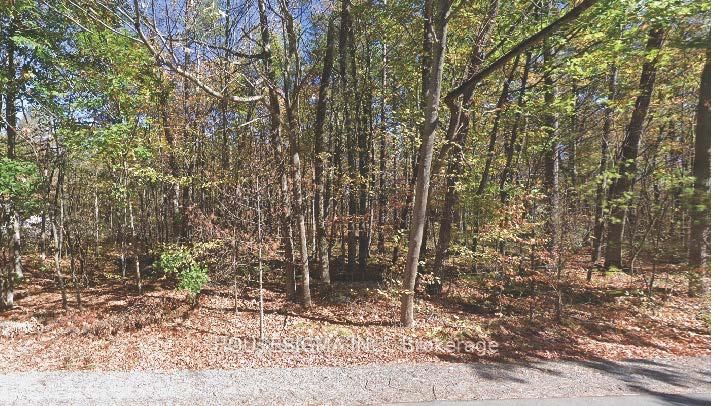 Pt Lt 8 Marble Point Rd, Limoges, K0K 2M0 | Image 2