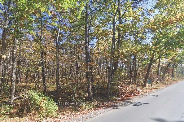 Pt Lt 8 Marble Point Rd, Limoges, K0K 2M0 | Image 3