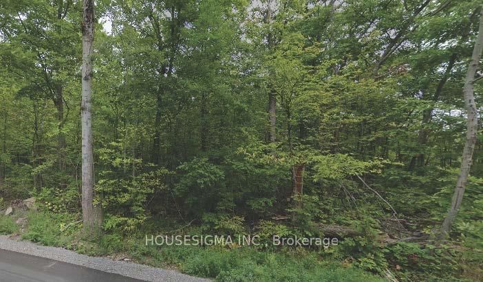 Pt Lt 8 Marble Point Rd, Limoges, K0K 2M0 | Image 2