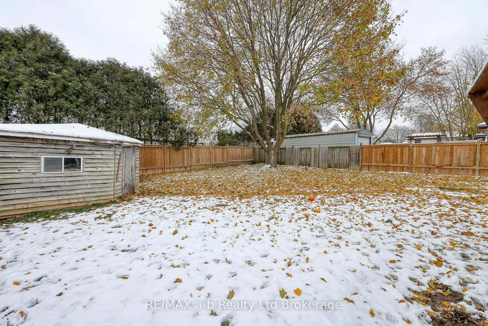 Listing Image 7