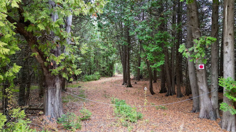 44 Stokes Bay Rd, Northern Bruce Peninsula, N0H 1W0 | Image 2