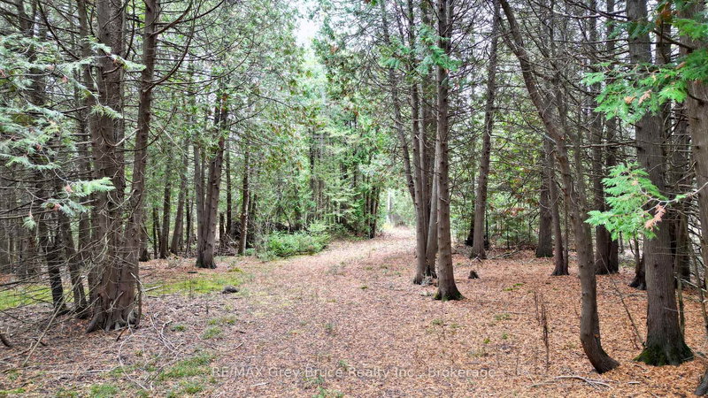 44 Stokes Bay Rd, Northern Bruce Peninsula, N0H 1W0 | Image 3