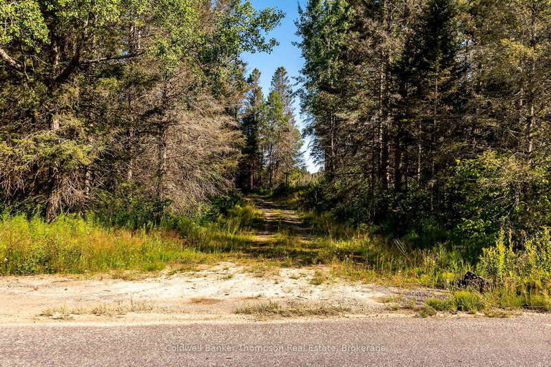 254 Pickerel Lake Rd, Armour, P0A 1C0 | Image 3