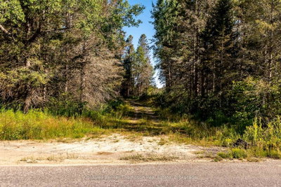 N 254 Pickerel Lake Road — photo 3