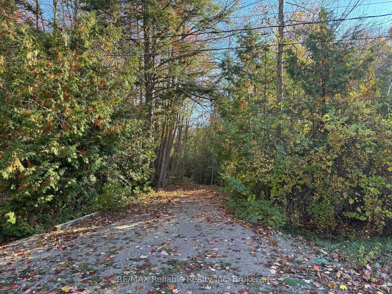 28 George St, Bluewater, N0M 1G0 | Image 2