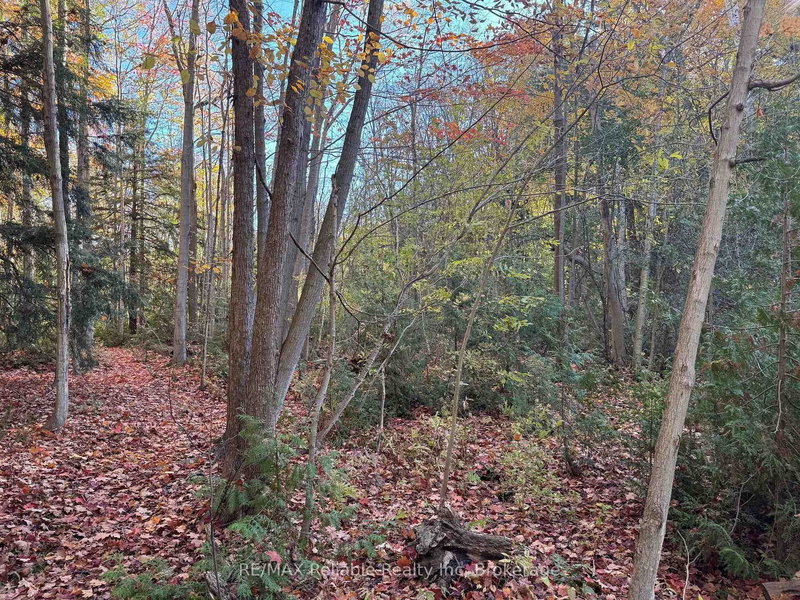 28 George St, Bluewater, N0M 1G0 | Image 3