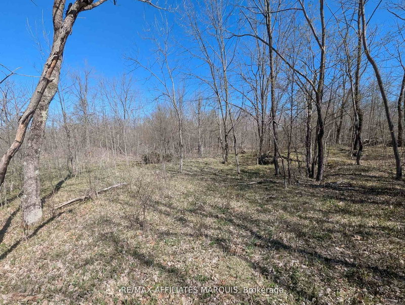 home for sale on 0 LITTLE CROSBY LAKE Road