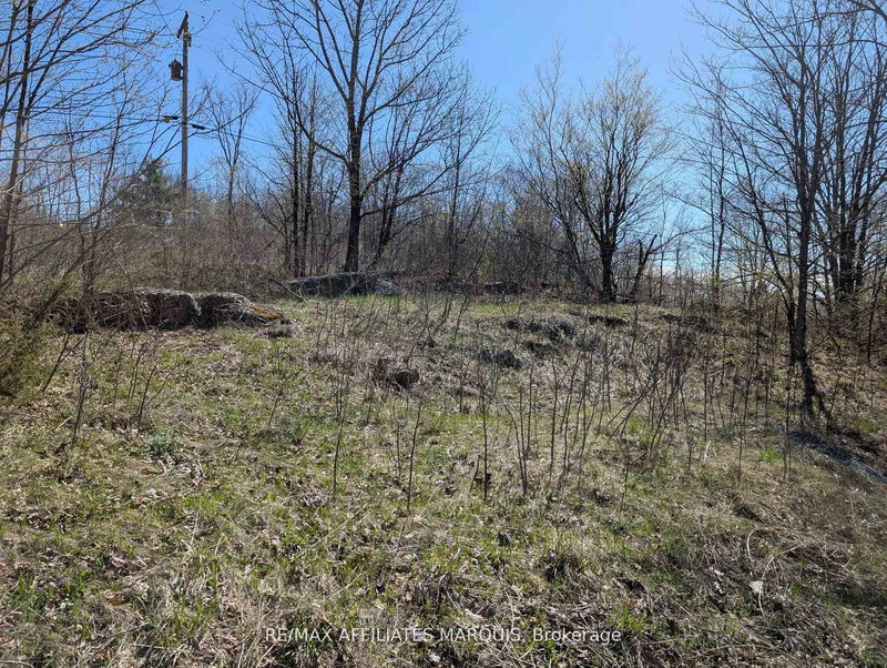 0 LITTLE CROSBY LAKE Rd, Rideau Lakes, K0G 1X0 | Image 2