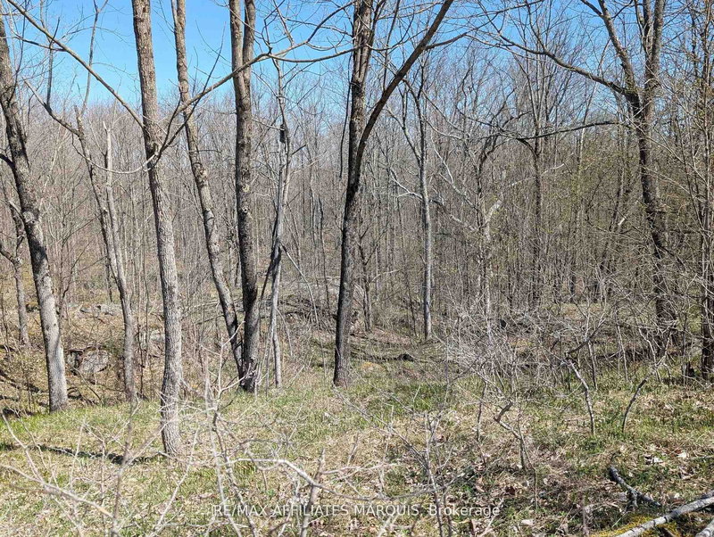 0 LITTLE CROSBY LAKE Rd, Rideau Lakes, K0G 1X0 | Image 3