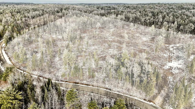 744 Black Creek Road