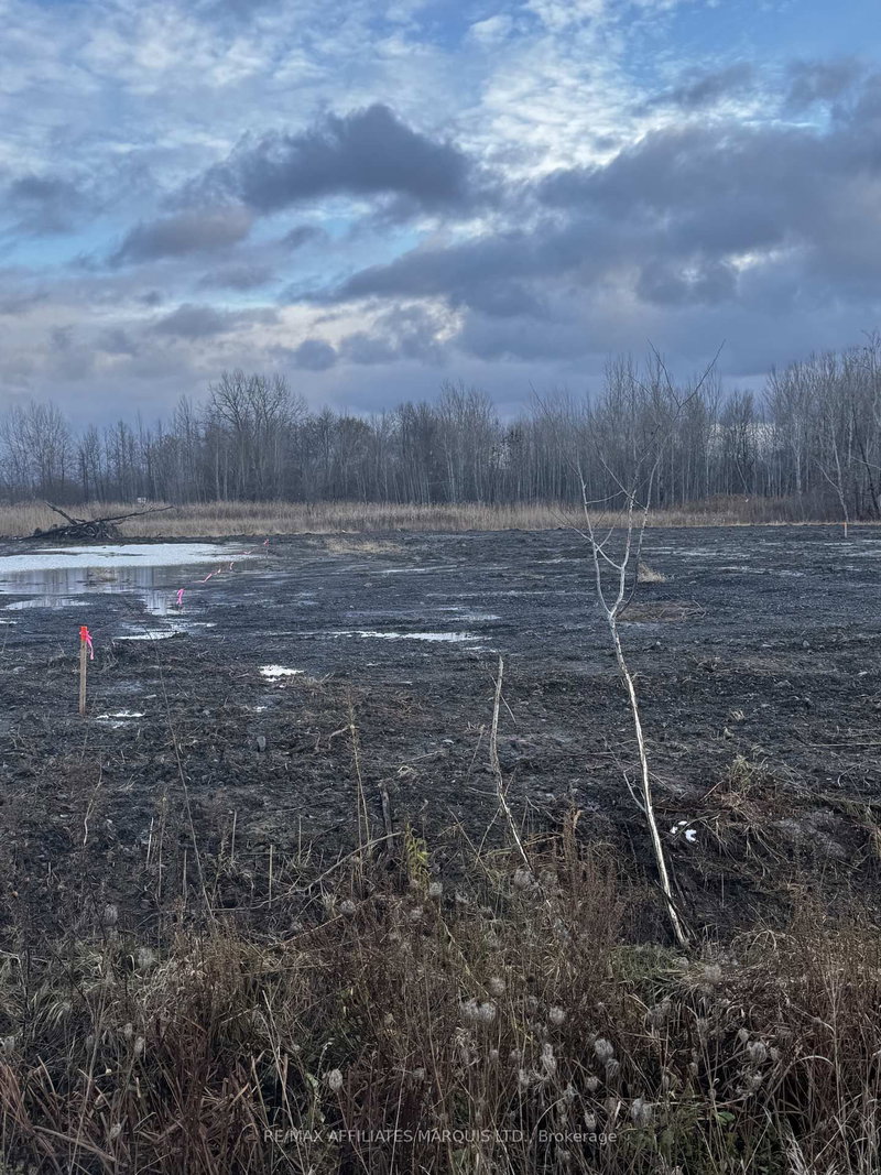 Lot 1 SOUTH BEECH St, South Glengarry, K0C 1N0 | Image 2