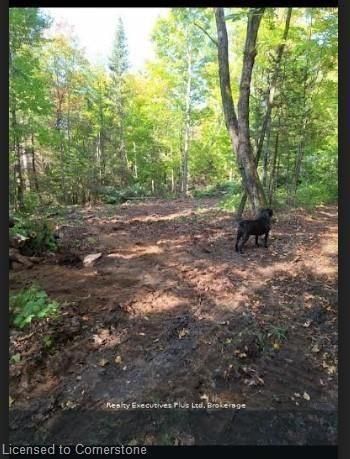 00 Ottawa Ave, Machar, P0A 1X0 | Image 2