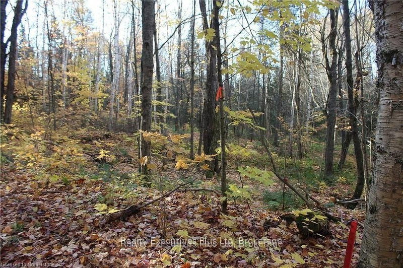 00 Ottawa Ave, Machar, P0A 1X0 | Image 3