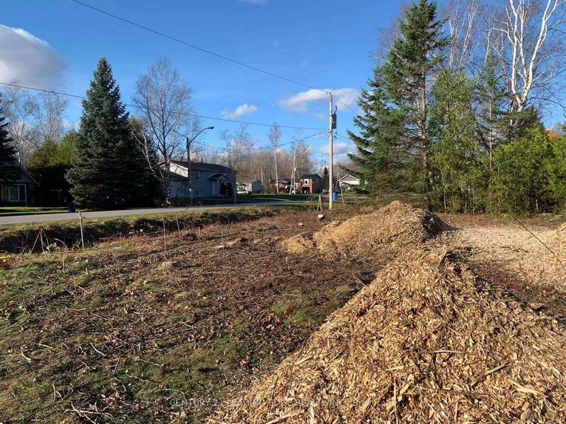 60 Greenwood Cres, Kawartha Lakes, K0M 2T0 | Image 3