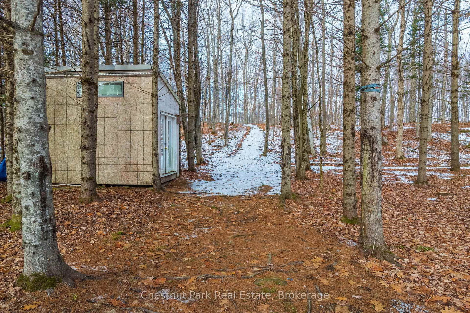 Listing Image 47