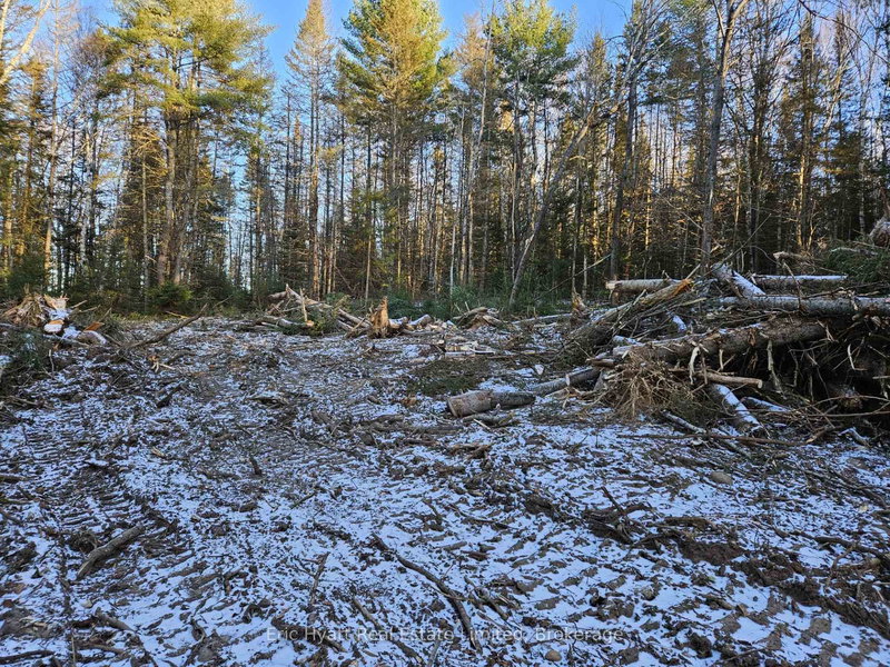 home for sale on 3051 Highway 534 null