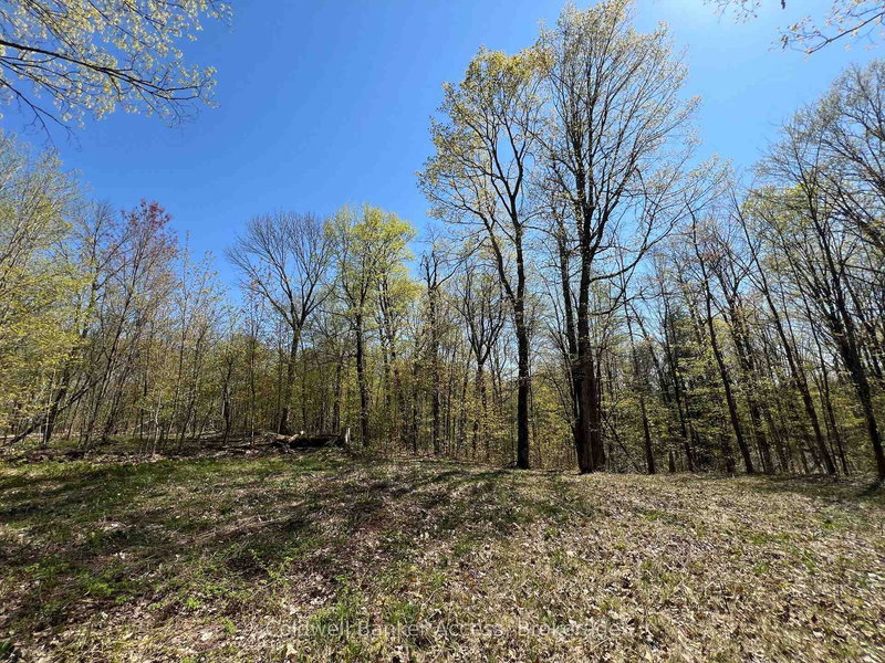 home for sale on 3-1019 CARL'S Road