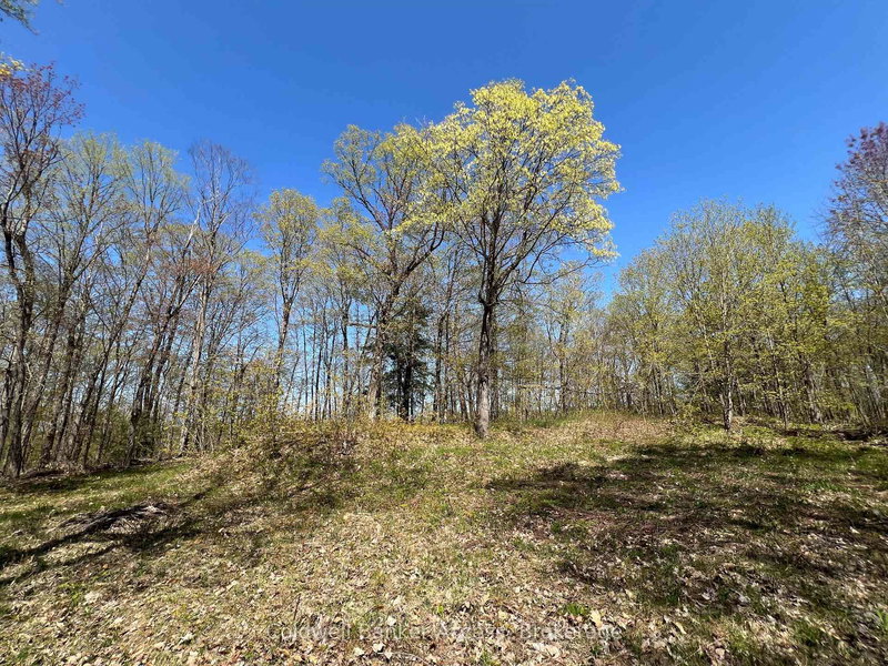 3 - 1019 CARL'S Rd, Muskoka Lakes, P0B 1J0 | Image 2