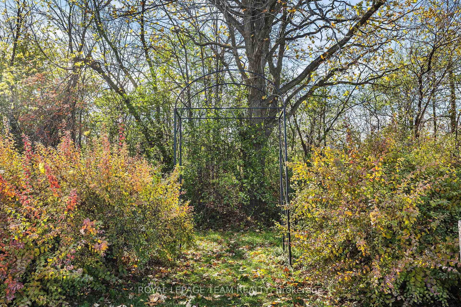 Listing Image 45