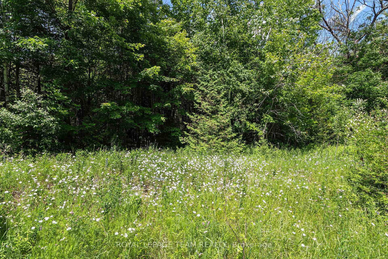 L2-3575 Paden Road • North Gower, ON photo 4