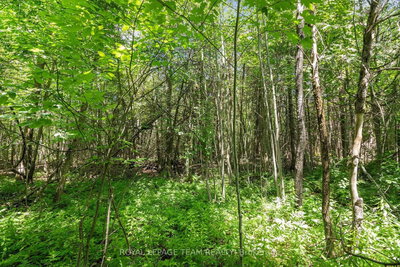 L2-3575 Paden Road • North Gower, ON photo 8